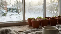 2月の種まきは早いより長い、室内育苗で失敗しない作物選びと光のコツ