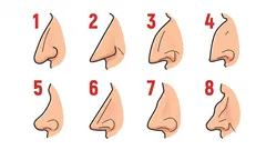 鼻の形があなたの性格を物語る：簡単な性格診断テスト