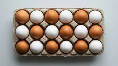 白い卵と茶色い卵の違いは何？栄養・値段・選び方をやさしく解説